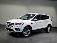 Gebraucht Ford Kuga Titanium 150 PS (110 kW) 2019 Weiß, frozen white SUV