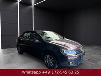 Gebraucht VW Golf Cabriolet 160 PS (117 kW) 2013 Dark purple metallic Cabrio
