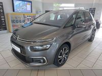 Gebraucht Citroën C4 SpaceTourer Start 131 PS (96 kW) 2019 Evl  lackierung platiniumgra Van / Kleinbus