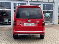 gebraucht VW Caddy 4Motion Alltrack 2.0 TDI DSG XEN, NAV, ACC