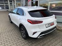 Gebraucht Kia XCeed Vision 140 PS (102 kW) 2024 Deluxeweiss met. SUV