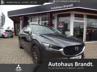 Gebraucht Mazda CX-30 Selection 122 PS (89 kW) 2019 Grau SUV