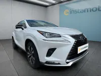 Gebraucht Lexus NX300h 197 PS (144 kW) 2021 Weiß SUV