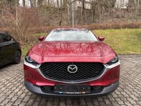 Gebraucht Mazda CX-30 Selection 150 PS (110 kW) 2022 Rot SUV