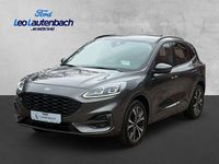 Usata Ford Kuga ST-Line X 152 CV (111 kW) 2021 Grigio SUV