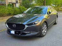 Gebraucht Mazda CX-30 116 PS (85 kW) 2020 Grau SUV