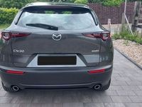 gebraucht Mazda CX-30 2.0 e-SKYACTIV-G M-Hybrid 150 Selectio...