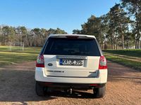 Gebraucht Land Rover Freelander 2 150 PS (110 kW) 2010 Weiß SUV