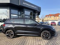 Neu Cupra Ateca 150 PS (110 kW) 2025 SUV