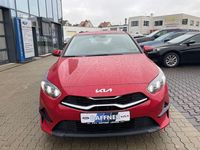 Neu Kia Ceed Spirit 140 PS (102 kW) 2025 Rot Kleinwagen