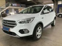 Gebraucht Ford Kuga Trend 150 PS (110 kW) 2019 Weiss SUV