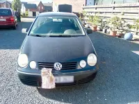 Gebraucht VW Polo 40 PS (29 kW) 2003 Kleinwagen