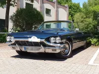 Gebraucht Ford Thunderbird 299 PS (219 kW) 1965 Cabrio