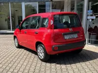Gebraucht Fiat Panda 69 PS (50 kW) 2022 Colore esterno (bartolini rot) Kleinwagen