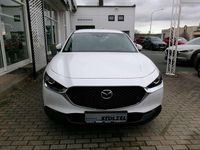 Gebraucht Mazda CX-30 Selection 122 PS (89 kW) 2023 Arctic white SUV