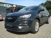 Gebraucht Opel Grandland X 131 PS (96 kW) 2019 Grau SUV