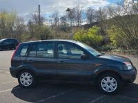 Gebraucht Ford Fusion 75 PS (55 kW) 2006 Grau Kleinwagen