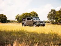 Gebraucht Mercedes G65 AMG AMG 630 PS (463 kW) 2019 054 monza grau magno SUV