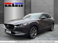 Gebraucht Mazda CX-30 Selection 179 PS (131 kW) 2020 Machine gray SUV
