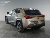 Gebraucht Lexus UX 250h 184 PS (135 kW) 2023 Silber SUV