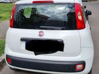 gebraucht Fiat Panda Easy