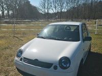 Gebraucht VW Lupo 50 PS (36 kW) 2000 Weiß Kleinwagen