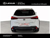 gebraucht Lexus UX 300h 