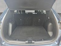 Gebraucht Ford Kuga ST-Line 150 PS (110 kW) 2024 Blau SUV