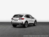 Gebraucht Ford Kuga ST-Line 150 PS (110 kW) 2023 White platinum metallic SUV