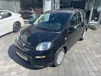 Gebraucht Fiat Panda 69 PS (50 kW) 2024 Schwarz Kleinwagen