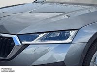Gebraucht Skoda Octavia Style 150 PS (110 kW) 2023 Grau Kombi