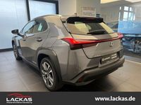 gebraucht Lexus UX 300e LUXURY*HUD*MarkLevinson*Panorama*LED*10J. Garantie