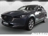 Gebraucht Mazda CX-30 Selection 122 PS (89 kW) 2021 Grau SUV