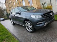 Gebraucht Mercedes ML250 204 PS (150 kW) 2012 Grau SUV