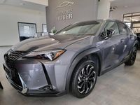 Gebraucht Lexus UX 300e 150 kW (204 PS) 2022 Grau SUV