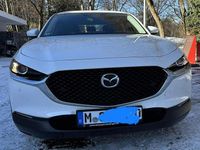 Gebraucht Mazda CX-30 Selection 150 PS (110 kW) 2021 SUV