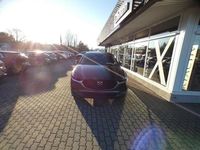 Neu Mazda CX-30 140 PS (102 kW) 2025 Andere SUV