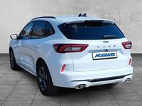 Neu Ford Kuga ST-Line 186 PS (136 kW) 2026 Weiß SUV