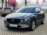 gebraucht Mazda CX-30 SKYACTIV-G 2.0 150PS M Hybrid 6AG AL-SELECTION A18