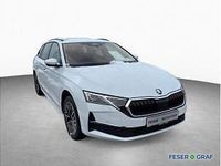 Neu Skoda Octavia 150 PS (110 kW) 2026 Weiß (moon weiss) Kombi