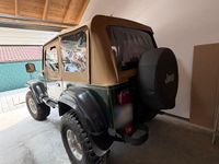Gebraucht Jeep Wrangler Sport 178 PS (130 kW) 1993 Grün SUV