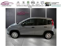 gebraucht Fiat Panda Panda