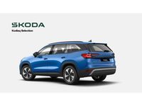 Neu Skoda Kodiaq Selection 204 PS (150 kW) 2025 Blau (energyblau) SUV