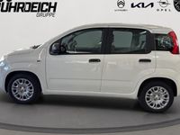 Gebraucht Fiat Panda Icon 65 PS (47 kW) 2026 Weiss Kleinwagen