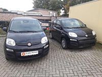 Neu Fiat Panda 69 PS (50 kW) 2025 Schwarz Kleinwagen