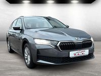 Gebraucht Skoda Octavia Essence 116 PS (85 kW) 2025 Grau Kombi