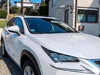 Gebraucht Lexus NX300h 197 PS (144 kW) 2017 Weiß SUV