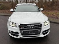 Gebraucht Audi SQ5 Competition 326 PS (239 kW) 2017 Gletscherweiss SUV
