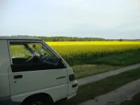 Gebraucht Mitsubishi L300 90 PS (66 kW) 1991 Weiß Van / Kleinbus