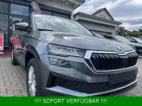 Neu Skoda Karoq Selection 150 PS (110 kW) 2026 Grau SUV